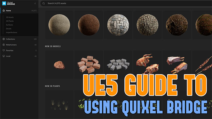 UE5: Definitive Guide to Using Quixel Bridge to Create, Texture and Detail Your Environments